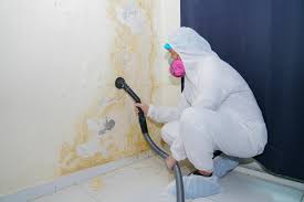 Why You Should Choose Our Mold Remediation Services in Summerville, SC